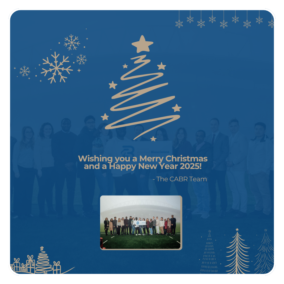 Wishing you a Merry Christmas and a Happy New Year 2025! Centre for